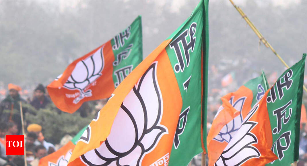 Bjp Flag Motion Loop Video Waving In Wind Realistic Indian People Party Flag Background Bjp Indian Political Front Party From India Flag Looping Closeup 1080p Full Hd 1920x1080 Footage Bjp Flags Footage
