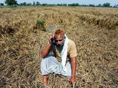 If farm loan waiver is implemented in UP, banks may take a hit of Rs 27,420 crore: SBI report