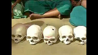 Tamil Nadu farmers continue protest with skulls at Jantar Mantar