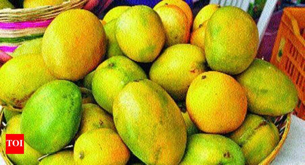 Mango Forget Lalbagh Buy Mangoes From Your Neighbourhood This Year