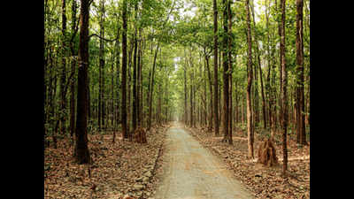 Kandi road has serious implications for tigers and other wildlife of Corbett