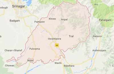 Agencies shielding Nadimarg culprits: Kashmiri Pandits' body