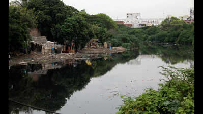 Restore Cooum and Adayar rivers to their past glory, Madras HC tell TN govt