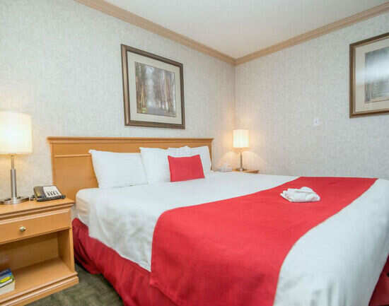 Hotels in Edmonton that offer comfortable accommodation at a budget