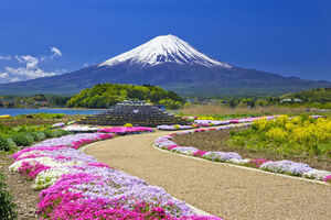 Two days in Tokyo: a contrasting world of past and present