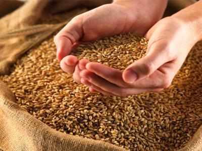 10% import duty to be levied on wheat, pulses