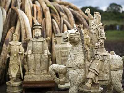 Chinese demand for elephant ivory drops, new report says