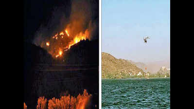IAF chopper helps douse forest blaze in Udaipur
