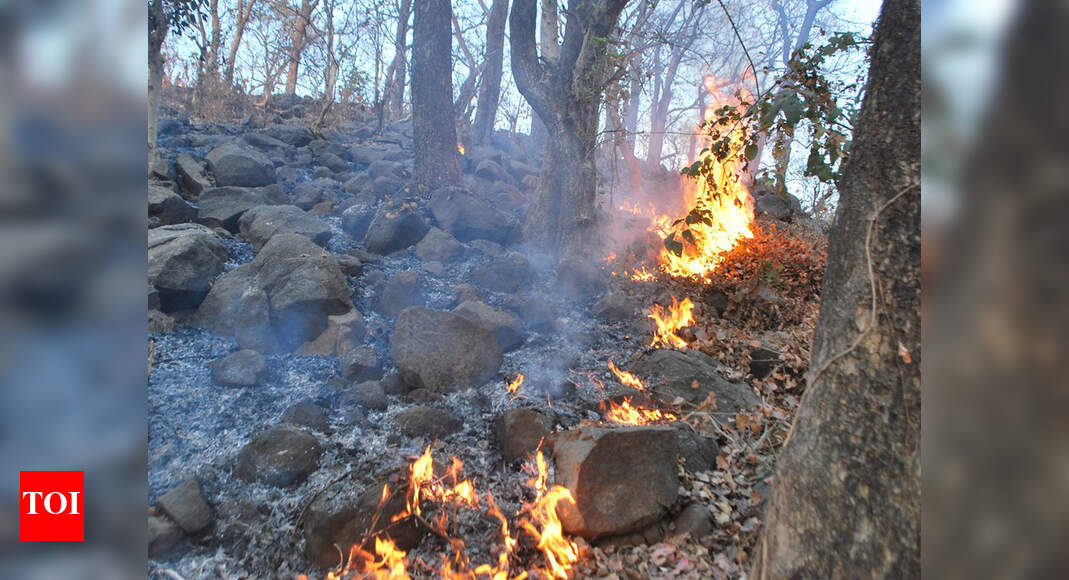 Forest fires are back, but is Uttarakhand ready to tackle them
