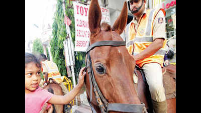 Bengaluru: Cops on horses to patrol Cubbon Park on weekends