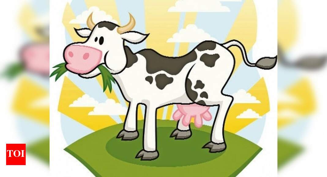 The cow diet - Times of India The cow diet - Times of India