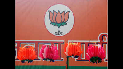Saffron sweep: BJP MLAs don their pet colour