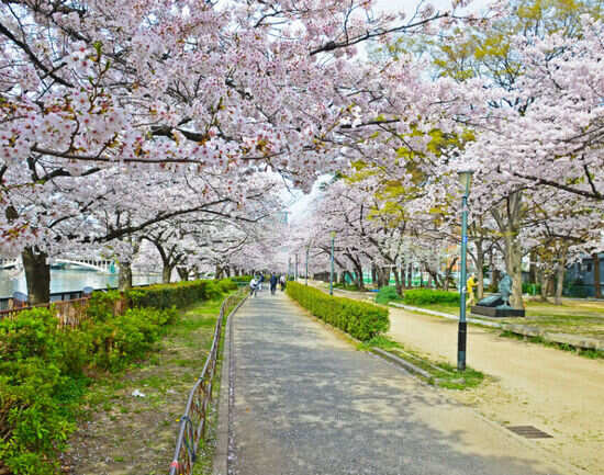 Ueno Park & Zoo