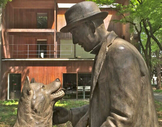 Say Hi To Hachiko
