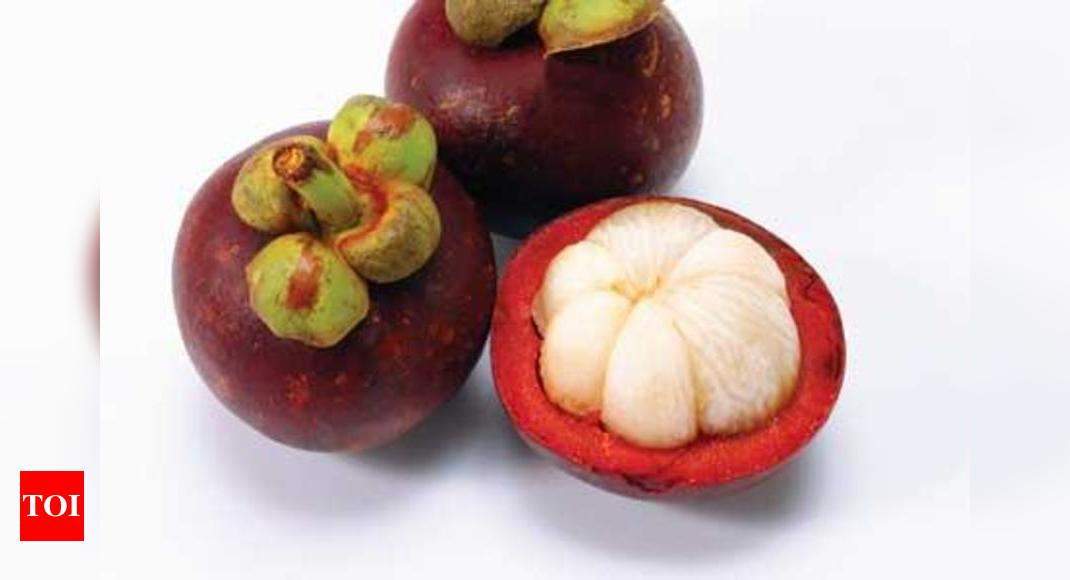 Mangosteen Sales At Burliar Farm Break Records Coimbatore News Times Of India