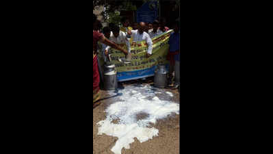 Farmers pour milk on road, demand support price of Rs 30 per litre