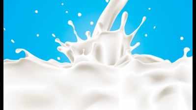 ‘Need right strategy to realize dairy potential’