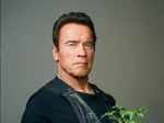 Arnold Schwarzenegger: 'Terminator' continues