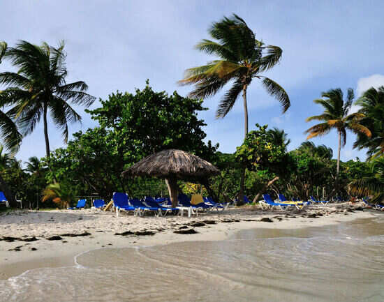 Palomino Islands