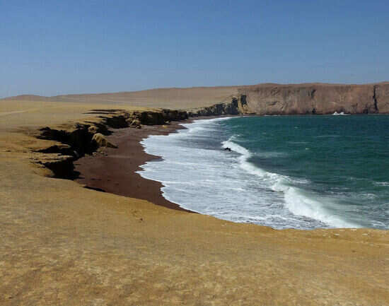Playa de La Mina, Paracas