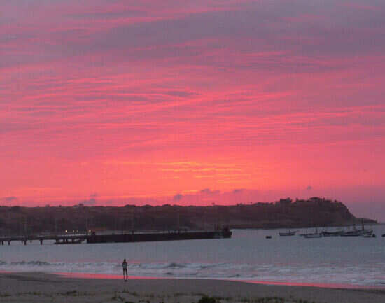 Los Organos Beach