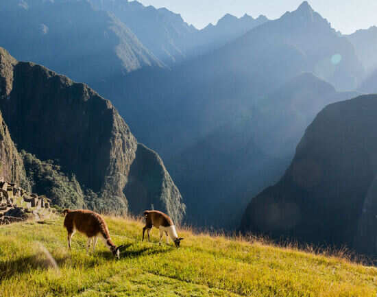 Luxury Machu Pichu by train