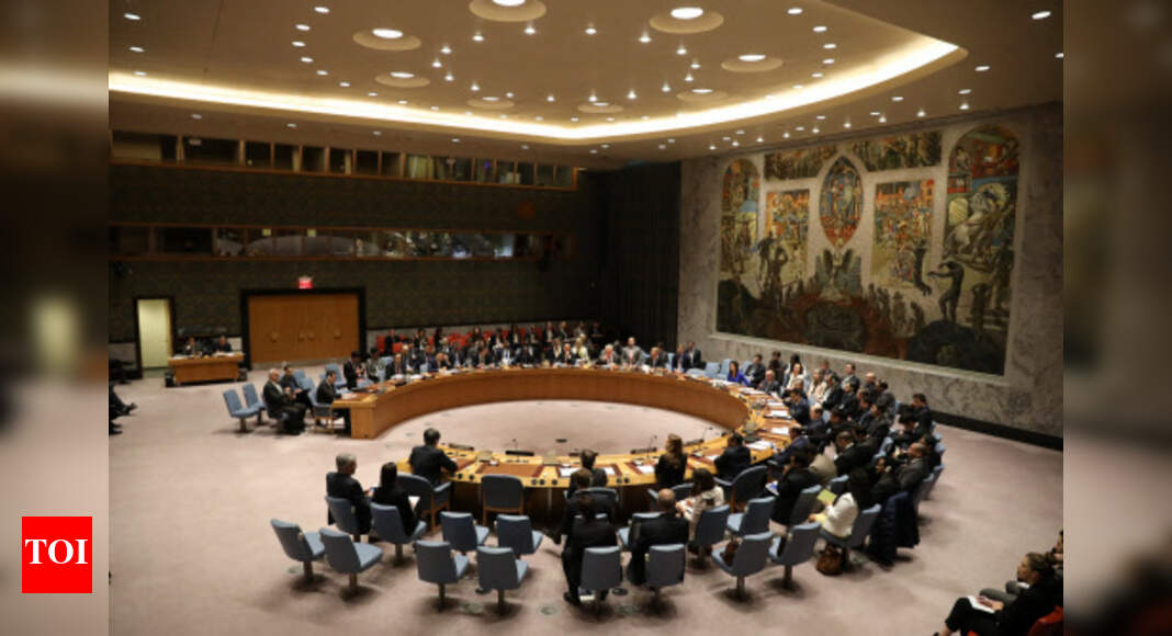 UN Security Council to meet today on US strikes in Syria - Times of India