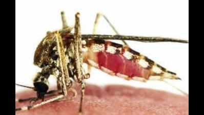 E-health centres turn focus units to tackle dengue, malaria