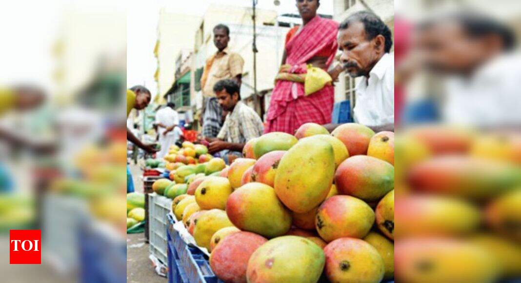 Indian mangoes to enter Australian market Nashik News Times of India