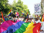 Lucknow celebrates queer pride parade