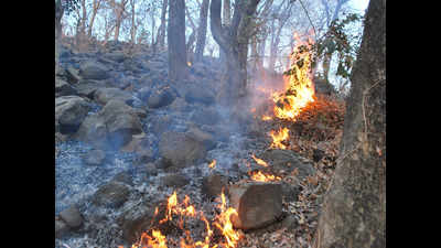 Fire breaks out in jungles near Godhra-Dahod