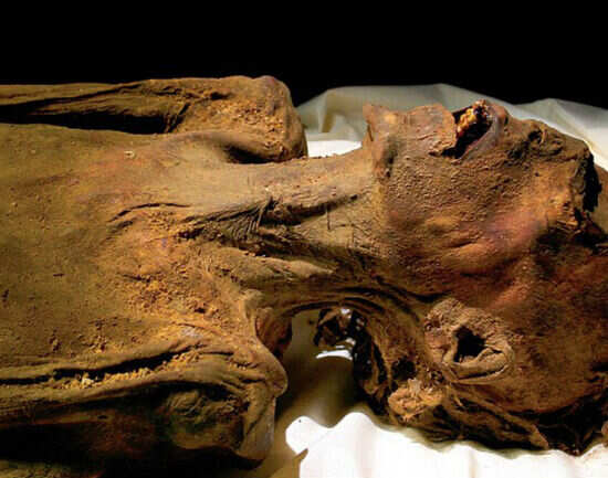 Mysterious mummies that shook the world&mdash;Buddhist monk in eternal meditation & more