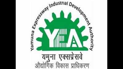 YEIDA wants skill centre to boost youth employability of rural youth proposed by