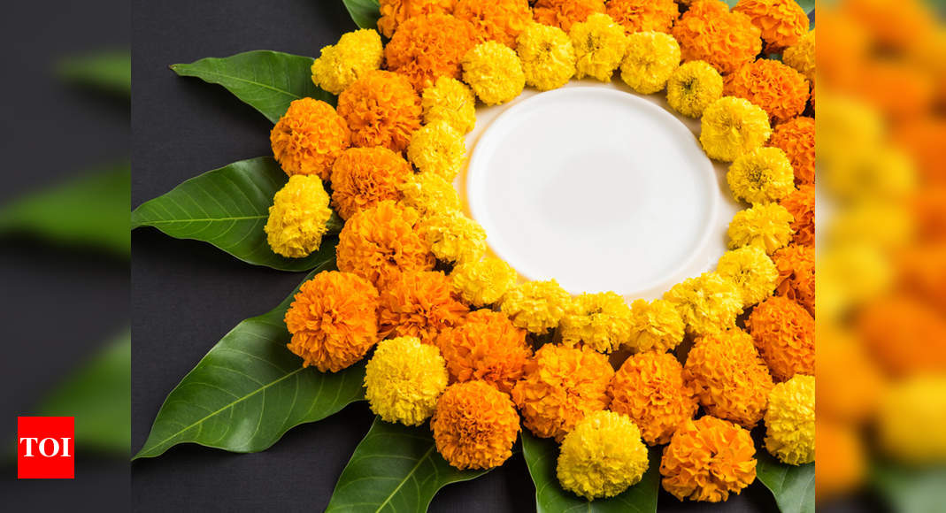 Shopyo Fine Powder Rangoli Colour Easy to use  Colours for Diwali  Decoration and Home Decor 10