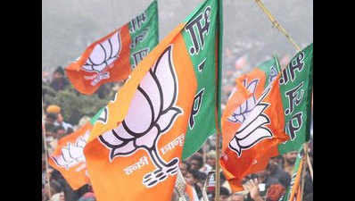 BJP wins Delhi's Rajouri Garden bypoll, AAP candidate loses deposit