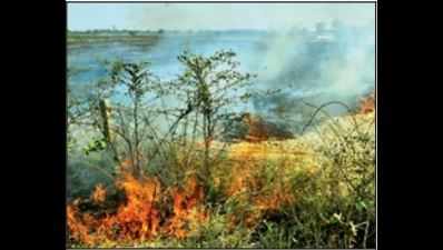 Sat alert gets 4 Patiala farmers challaned for crop burning