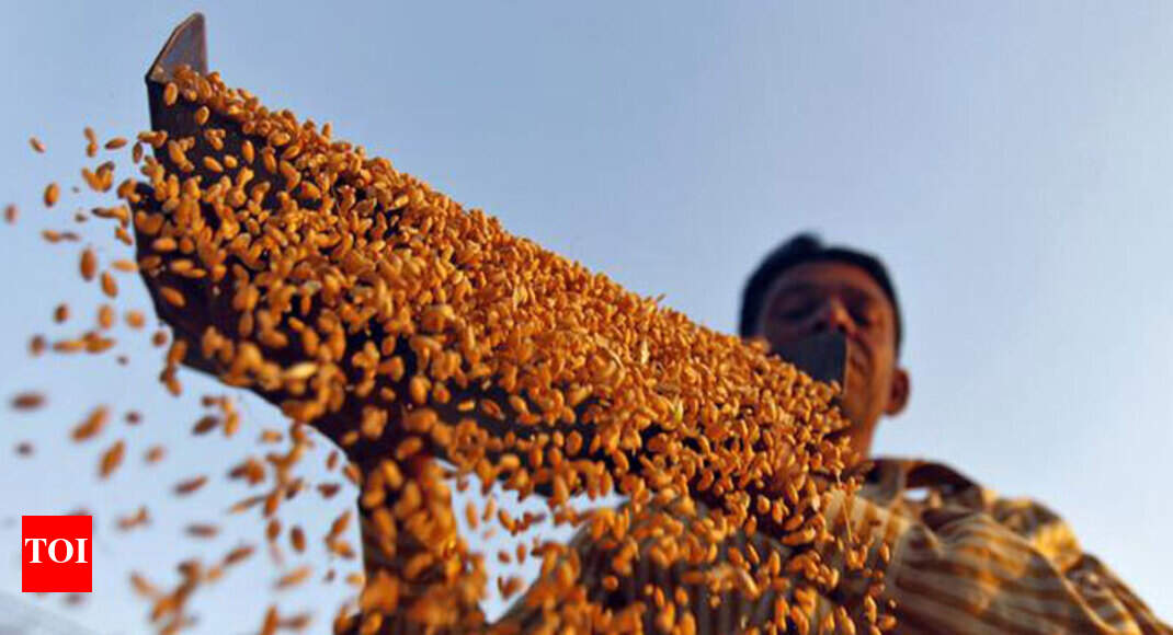 Record global harvest of cereals, India too heads for a new high