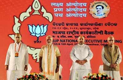 Need to be present from Panchayat to Parliament, says BJP at National Executive meeting
