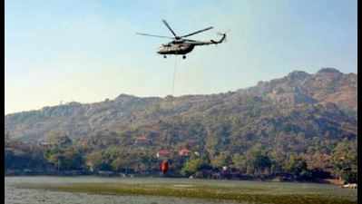 Firefighting operation continues at forest near Mt Abu