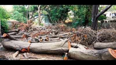 BMC cut trees on 'private playground' despite court stay, says Goregaon soc