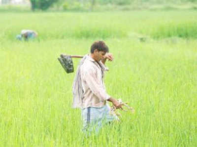 No farm loan waiver, Maharashtra may opt for subsidies to farmers for installing infra facilities