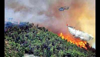Mt Abu forest fire put off at most places