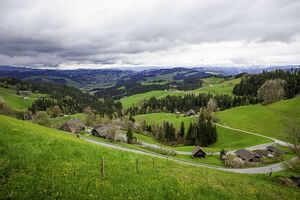 Emmental