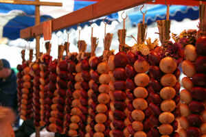 Onion Market