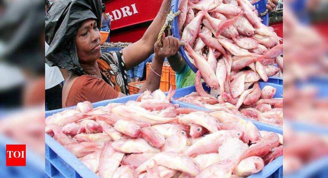 FISH PRICE IN SALEM Trawling ban pushes up fish prices in Salem