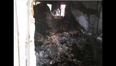 Madhya Pradesh: Fire breaks out during kerosene distribution, several killed