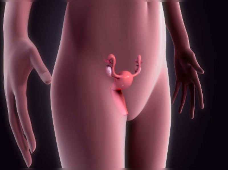 Uterus transplant risky, raises ethical debate