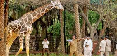 With no mates, zoo animals show signs of depression, barely eating | Hyderabad News - Times of India With no mates, zoo animals show signs of depression, barely eating | Hyderabad News - Times of India