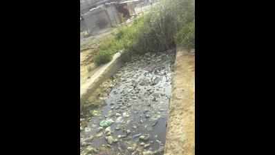 Noida's clogged drains turn into health hazard
