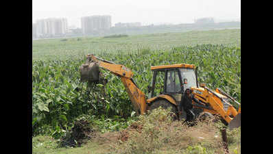 After NGT rap, civic agencies begin cleaning up Bellandur Lake in Bengaluru
